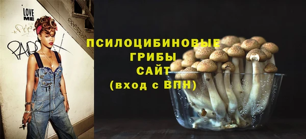 альфа пвп Армянск