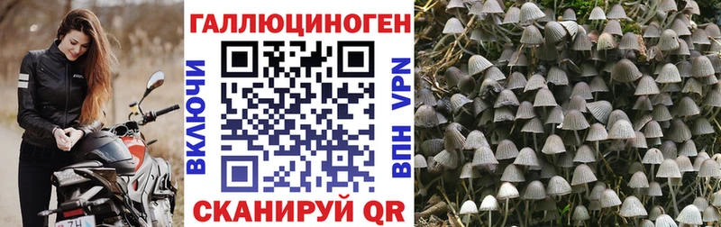 где найти наркотики  Снежинск  Галлюциногенные грибы GOLDEN TEACHER 